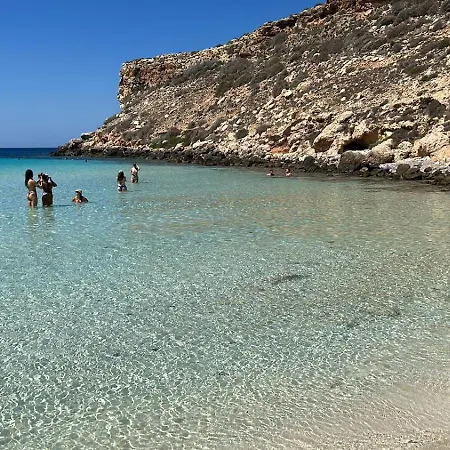 Caretta Caretta * Lampedusa